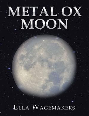 Cover of the book Metal Ox Moon by Matthew McCain