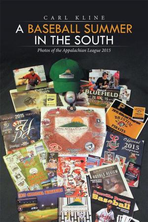 Cover of the book A Baseball Summer in the South by Nicholas Morell