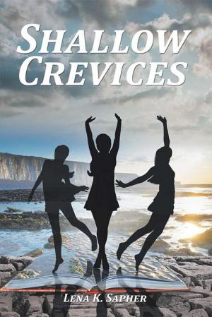 Cover of the book Shallow Crevices by Felicia Turrentine Daniel