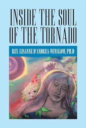 Cover of the book Inside the Soul of the Tornado by James Hawley