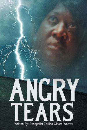 Cover of the book Angry Tears by Allama Muhammad Husain Tabatabai