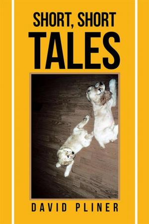 Cover of the book Short, Short Tales by Richard T. Halfpenny
