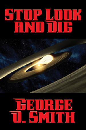 Cover of the book Stop Look and Dig by Erec Stebbins