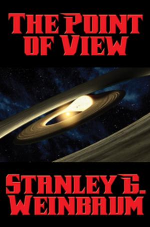 Cover of the book The Point of View by Max Brand