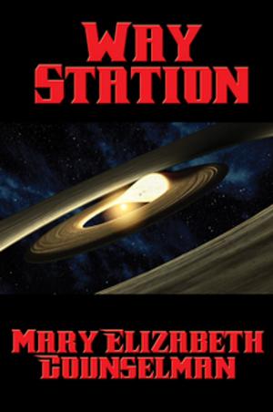 Cover of the book Way Station by Daniel A. Roberts