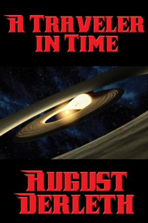 Book cover of A Traveler in Time