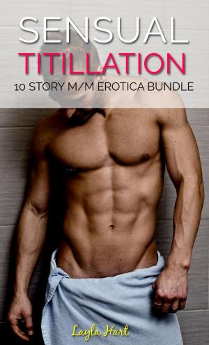 Cover of the book Sensual Titillation: 10 Story M/M Erotica Bundle by Cherry Hampton
