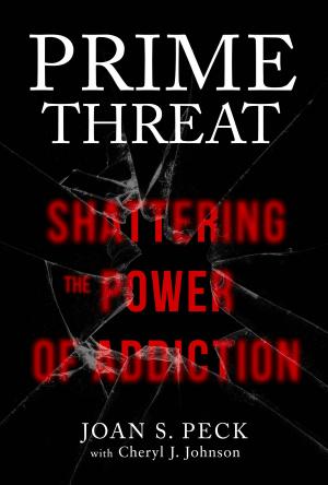 Cover of the book Prime Threat by Richard Lang