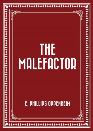 Book cover of The Malefactor