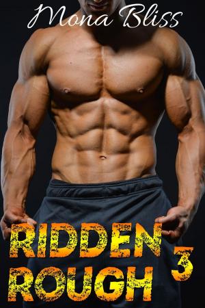 Book cover of Ridden Rough 3 - An MC Romance Short