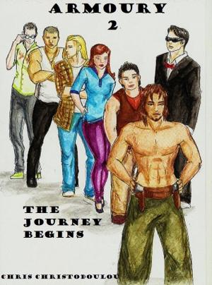 Cover of the book Armoury 2 The journey begins by Pamela M. Richter
