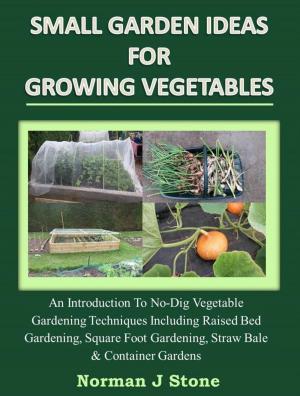 Cover of Small Garden Ideas For Growing Vegetables