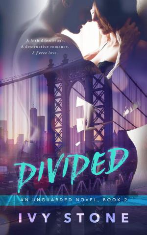 Cover of the book Divided by Jennifer Crusie