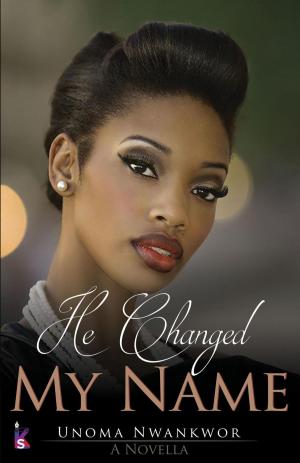 Cover of the book He Changed My Name by Nathalie Guarneri