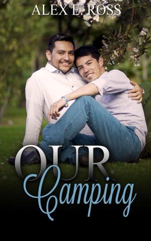 Cover of Gay Romance: Our Camping (Gay Romance, MM, Romance, Gay Fiction, MM Romance Book 3)