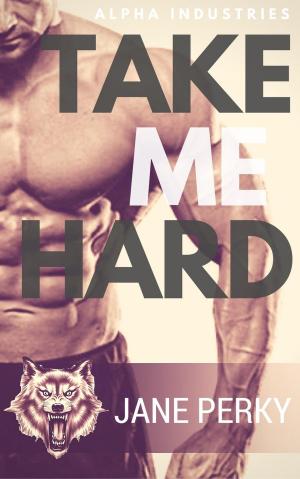 Cover of the book Take Me Hard by Rachel Duvall