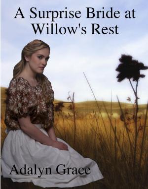 Cover of the book A Surprise Bride in Willow's Rest by Katherine Woodbury