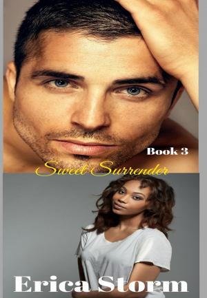 Cover of the book Sweet Surrender by Erica Storm