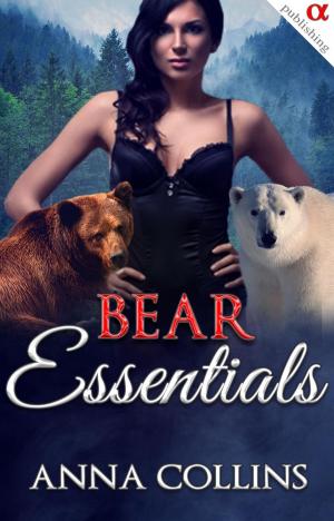 bigCover of the book Bear Shifter Romance by 