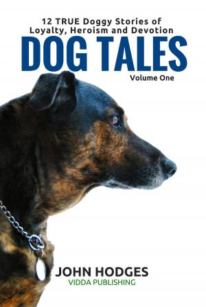 Book cover of Dog Tales Vol 1: 12 TRUE Dog Stories of Loyalty, Heroism and Devotion