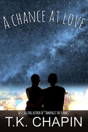 Book cover of A Chance At Love