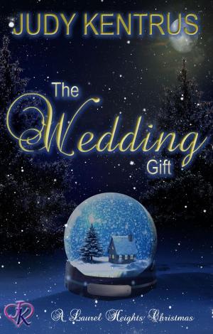 Cover of the book The Wedding Gift by Sarah Gerdes
