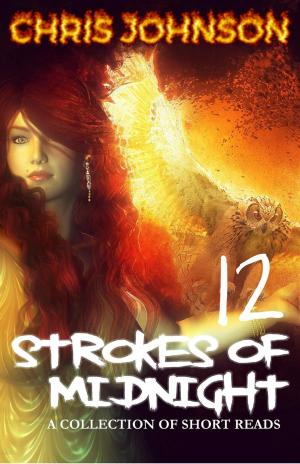 Book cover of Twelve Strokes of Midnight