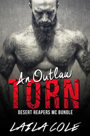Cover of the book An Outlaw Torn - Bundle by Desiree Holt