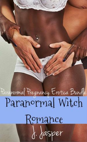 Book cover of Paranormal Witch Romance