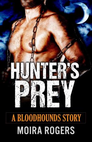 Book cover of Hunter's Prey