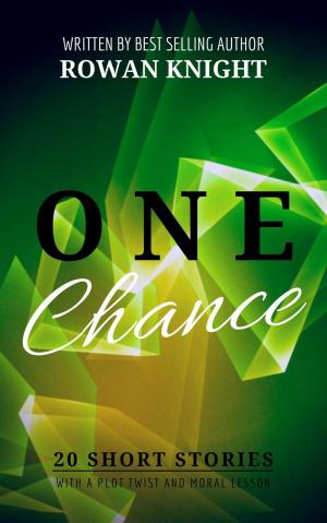 Cover of the book One Chance: 20 Short Stories with a Plot Twist and Moral Lesson by Robin Sacredfire