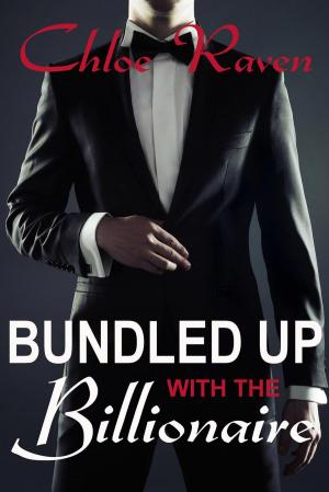 Book cover of Bundled Up with the Billionaire