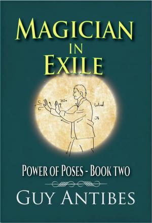 Cover of the book Magician In Exile by Martha Wells