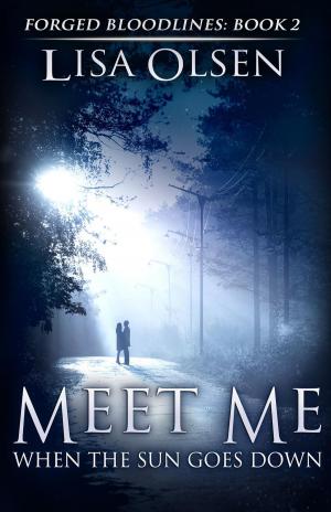 Book cover of Meet Me When the Sun Goes Down