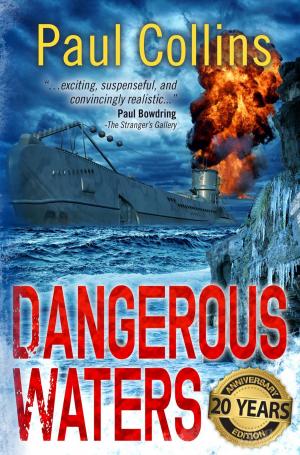 Cover of the book Dangerous Waters by Sonia Lupien