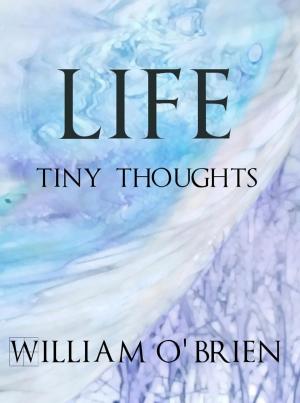 Book cover of Life - Tiny Thoughts