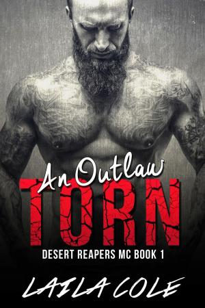Cover of the book An Outlaw Torn - Book 1 by Holly S. Roberts