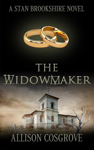 Cover of the book The Widowmaker by Michael Canfield