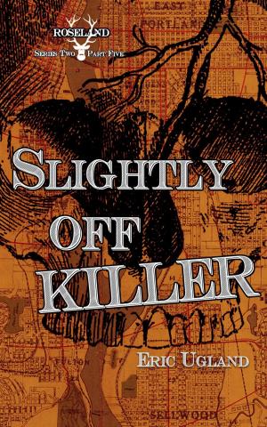Book cover of Slightly Off Killer