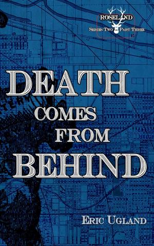 Cover of the book Death Comes From Behind by Christine Cook