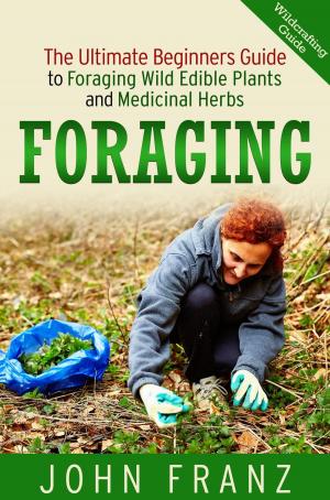 Cover of Foraging: The Ultimate Beginners Guide to Foraging Wild Edible Plants and Medicinal Herbs