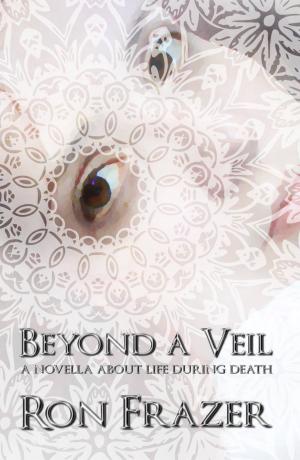 bigCover of the book Beyond a Veil: a novella about life during death by 