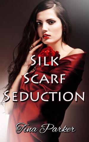 Cover of the book Silk Scarf Seduction by Jolene Avonn