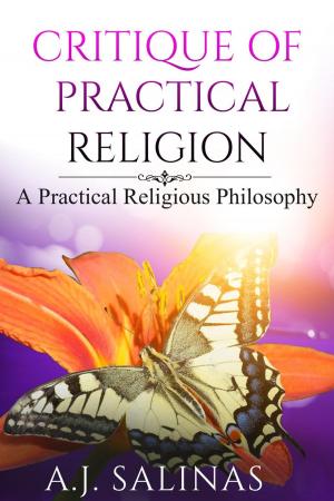 Book cover of Critique Of Practical Religion