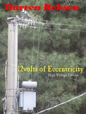Book cover of 12volts of Eccentricity