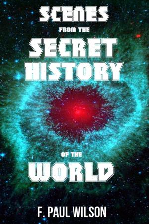 Book cover of Scenes from the Secret History of the World