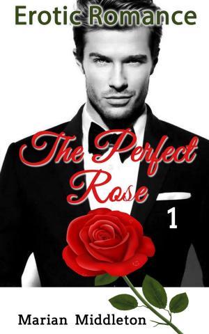 Cover of the book Erotic Romance: The Perfect Rose (Book One) by J.B. Rogers