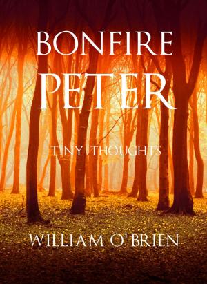 Cover of the book Bonfire Peter by William O'Brien