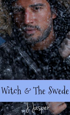 Book cover of Witch & The Swede