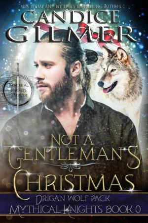 Cover of the book Not a Gentleman's Christmas by L.M. Connolly